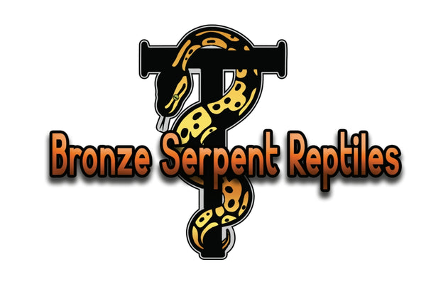 Bronze Serpent Reptiles